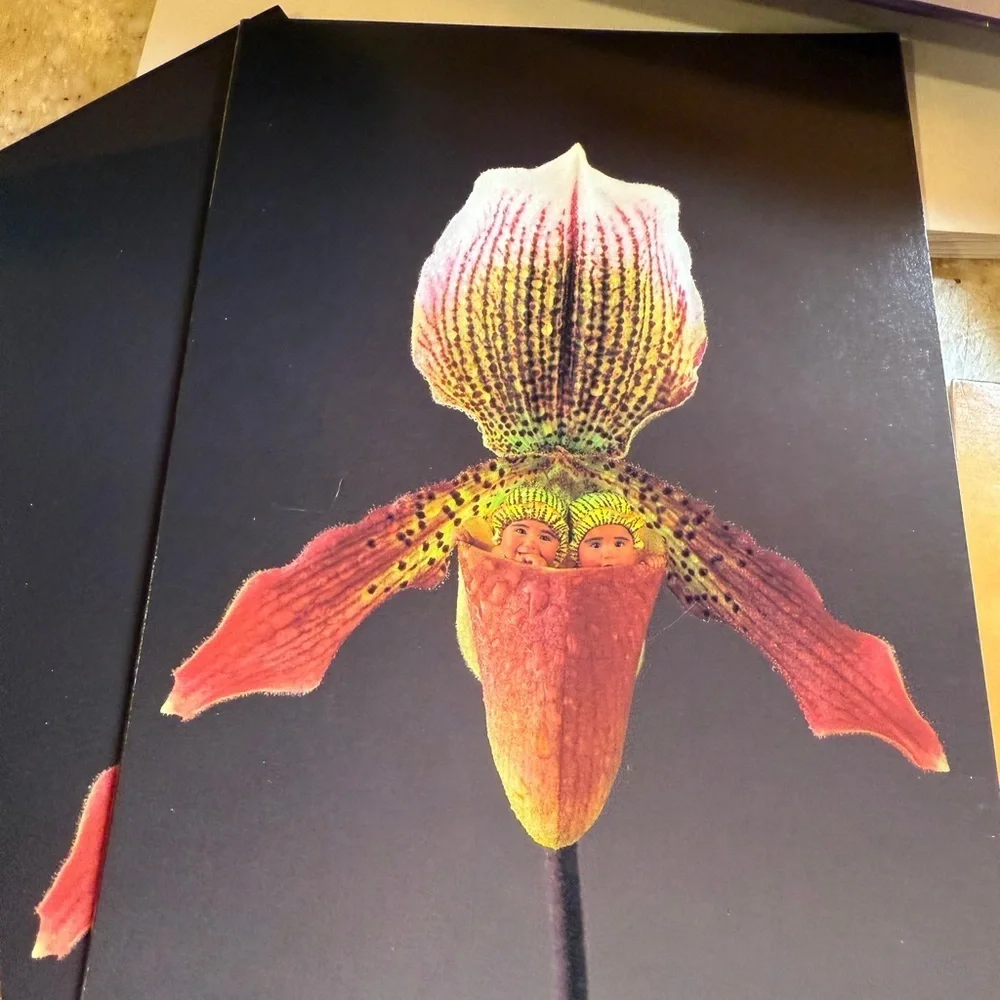 Vintage The Anne Geddes Collection Greet Cards